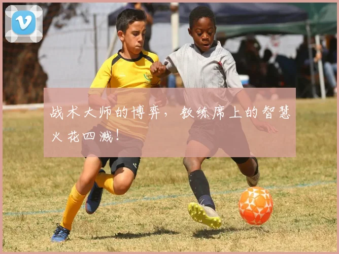 战术大师的博弈，教练席上的智慧火花四溅！
